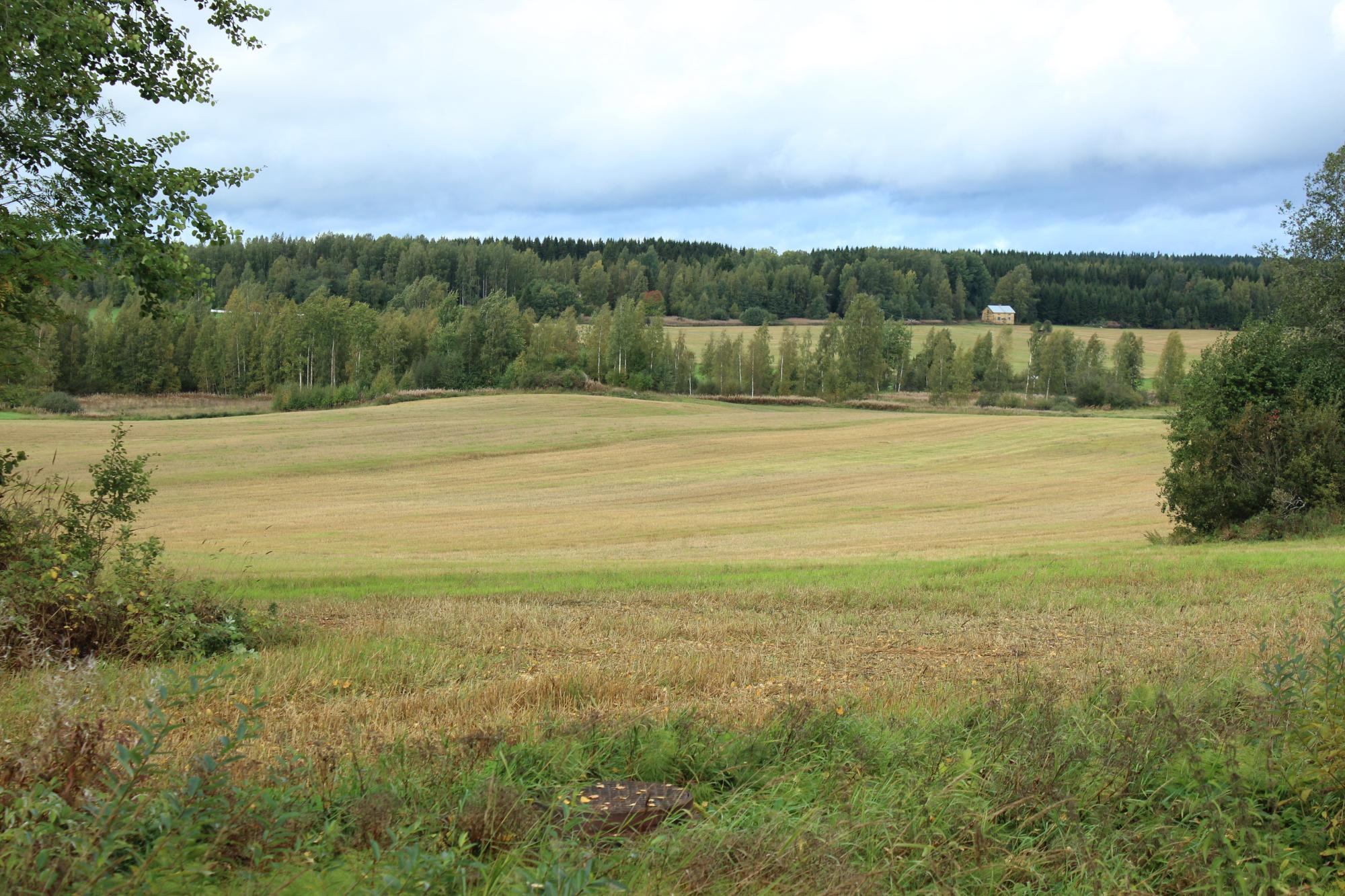 Peltomaisema kuva mtk arkisto
